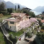 Primula * Μπελάτζιο
